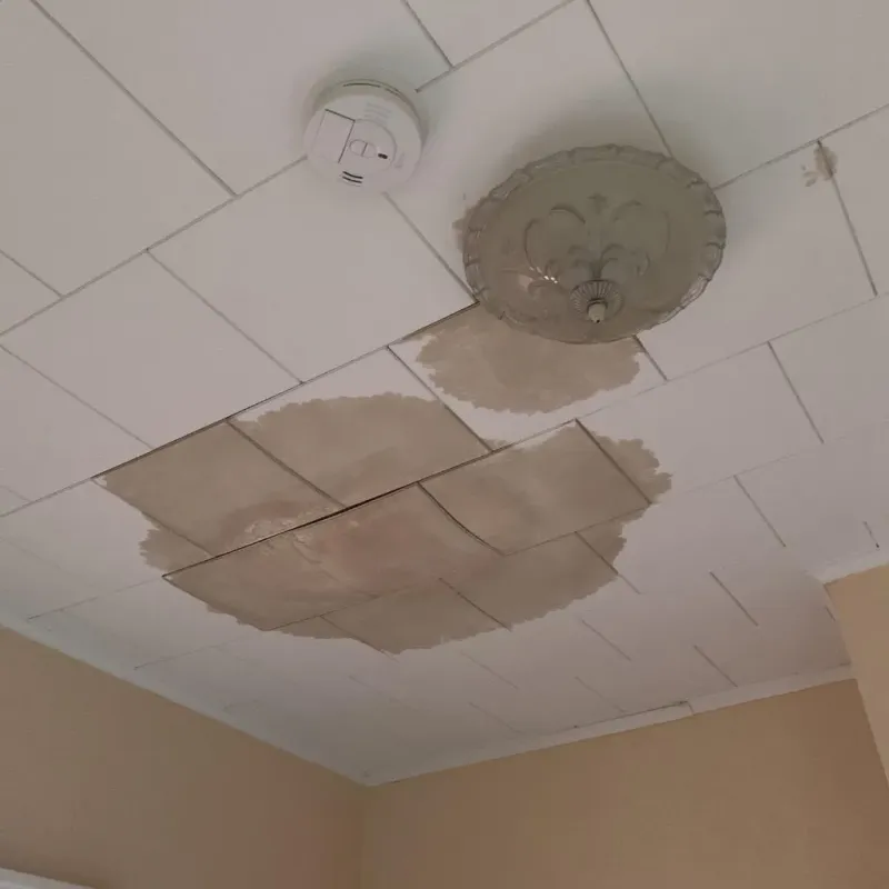 Ceiling Water Damage Repair in Mercer, PA