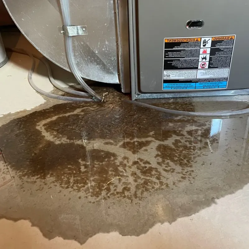 Pipe Burst and Leak Restoration in Mercer, PA