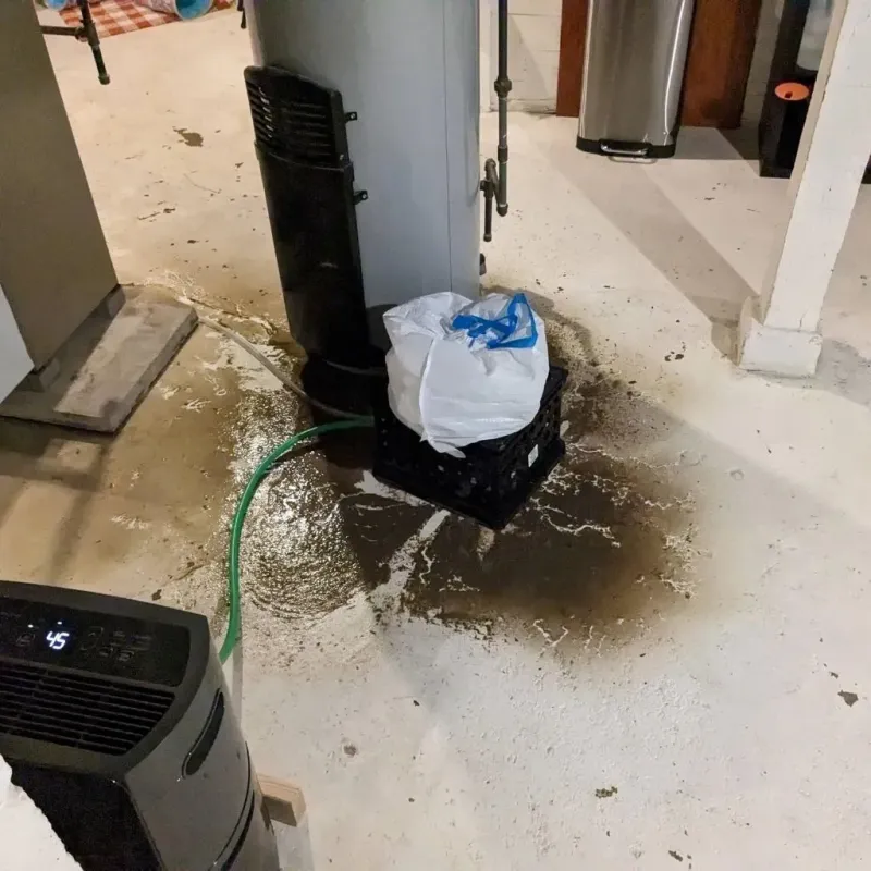 Sewage Backup Cleanup Service in Mercer, PA